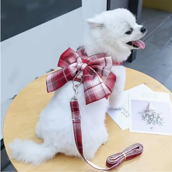 Dog Harness And Leash Set - Picture 2 of 6